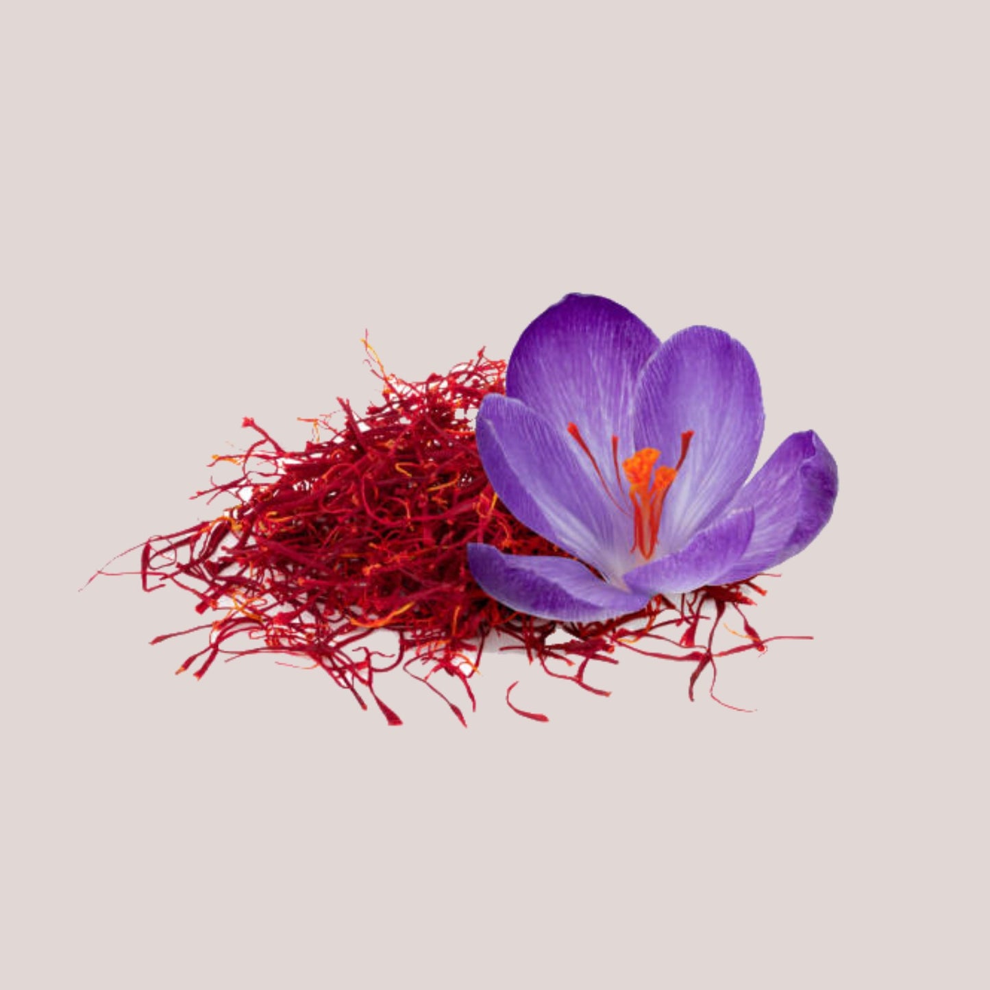 Kishtwari Kesar/Saffron